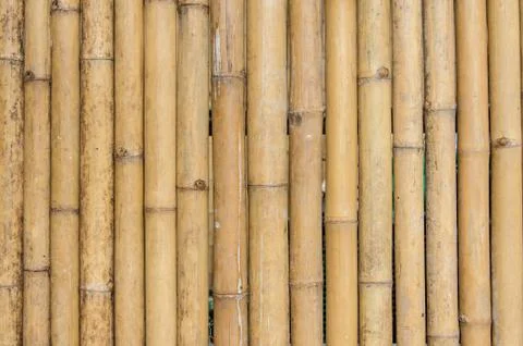 Bamboo fence background texture pattern Stock Photos