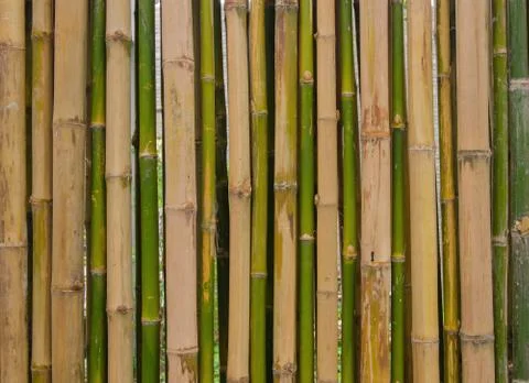 Bamboo fence background texture pattern Stock Photos