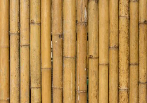 Bamboo fence background texture pattern Stock Photos