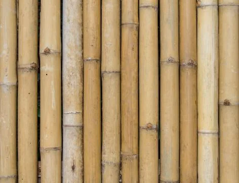 Bamboo fence background texture pattern Stock Photos