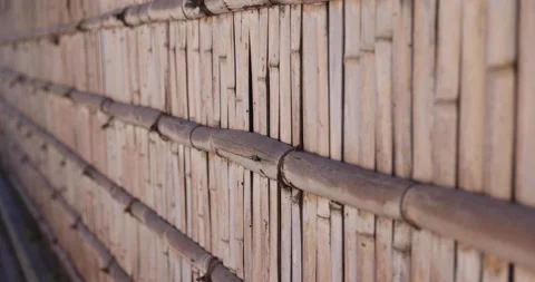 Bamboo Fence Video stock 197943990