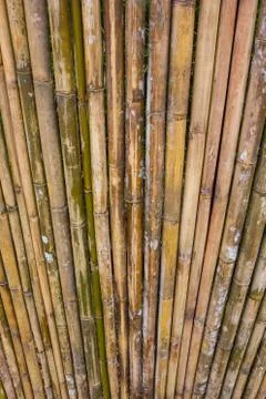 Bamboo fence Stock Photos
