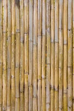Bamboo fence texture Stock Photos