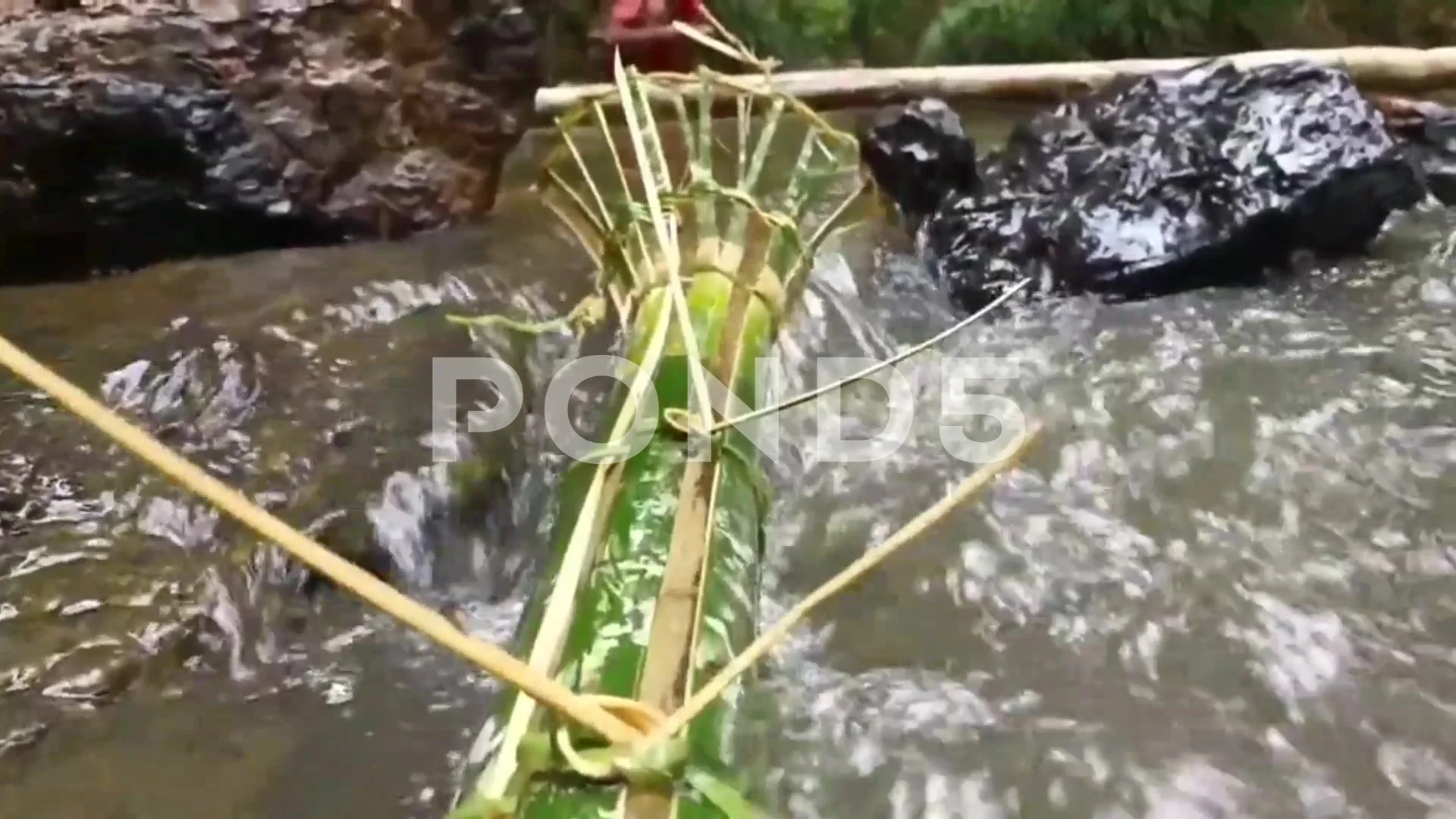 Bamboo fish trap made by village childre, Stock Video