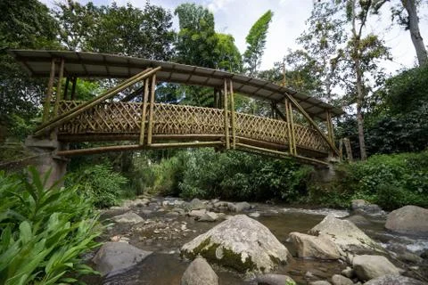 Bamboo foot bridge Stock Photos