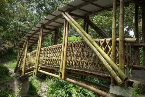 Bamboo foot bridge Stock Photos