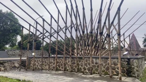 Bamboo Stock Footage 269516363