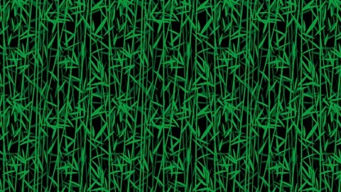 Bamboo forest background Stock Footage 168142000