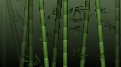 Bamboo forest background - HD, loop | Stock Video | Pond5