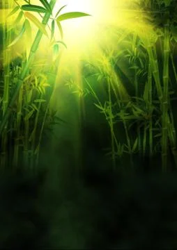 Bamboo forest background Stock Illustration