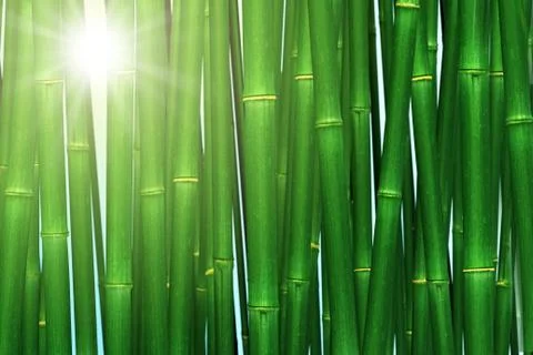 Bamboo forest Stock Illustration