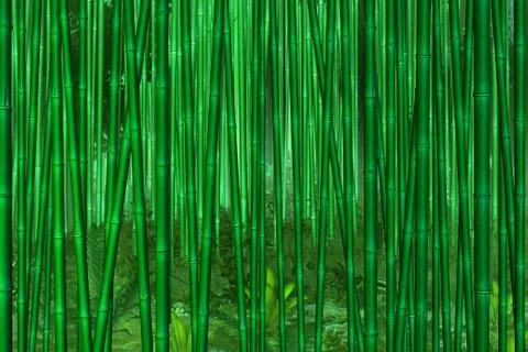 Bamboo forest Stock Illustration