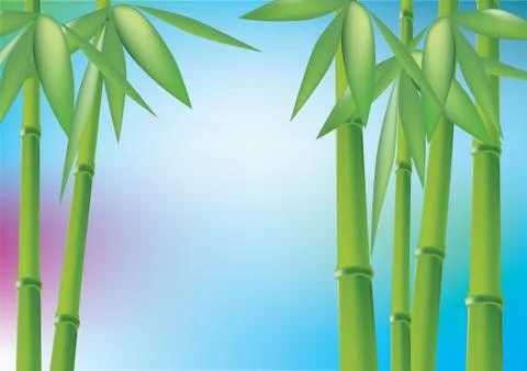 Bamboo forest Stock Illustration