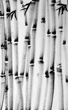 Bamboo forest Stock Illustration