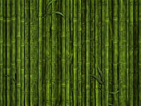 Bamboo forest Stock Photos