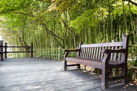 Bamboo forest Foto stock