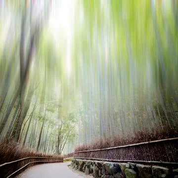 Bamboo forest with a road Stock Illustration