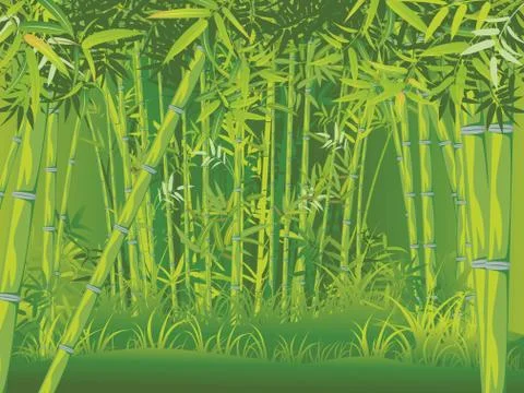 Bamboo forest scene Illustrazione stock