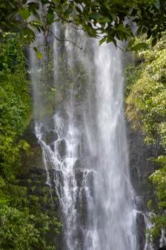 Bamboo Forest Waterfall Stock Photos