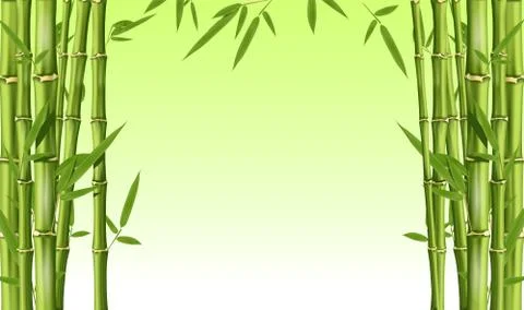 Bamboo frame with blank space - green bamboo stems with leaves Stock Illustration