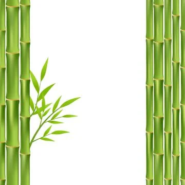 Bamboo frame isolated Stock Illustration