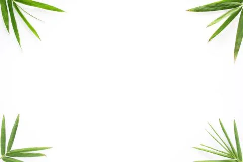 Bamboo frame Stock Photos