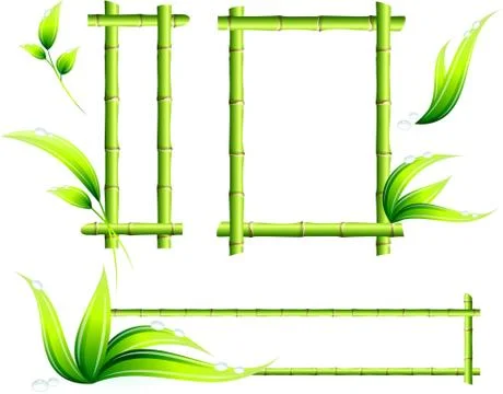 Bamboo Frames Illustrazione stock