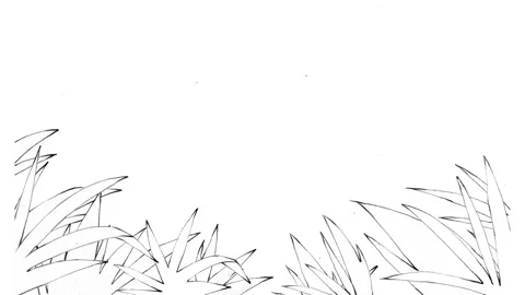 Bamboo grass blowing in the wind Stock Footage 341503468