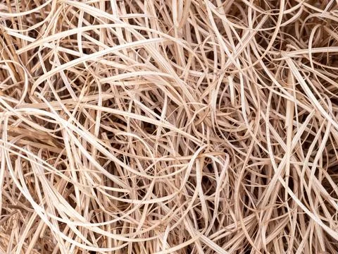Bamboo grass dries up background pattern Stock Photos