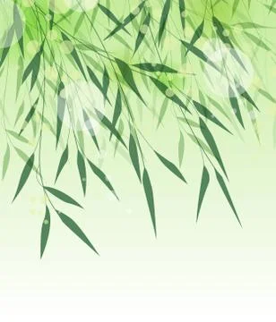 Bamboo green leaf Stock Illustration