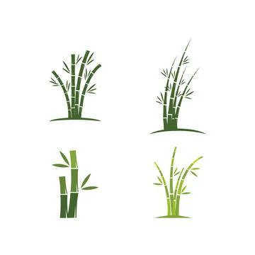 Bamboo with green leaf Stockillustratie