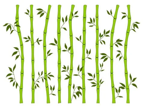 Bamboo green stem leaf borders set exotic fresh natural asian traditional tree イラスト素材