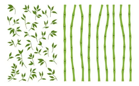 Bamboo green stem leaf borders set exotic fresh natural asian traditional tree Stock Illustration