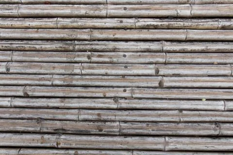 Bamboo ground Foto stock