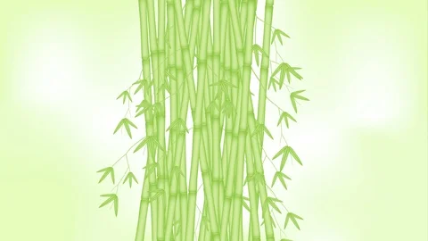 Bamboo grove moving by the wind looping and copy space animation 4K Stock Footage 91768811