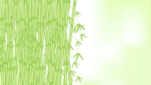 Bamboo grove moving by the wind looping and copy space animation 4K Stock Footage 91769044