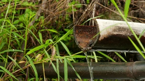 Bamboo Gutter, mountain tap water system. Stock Footage 109320537