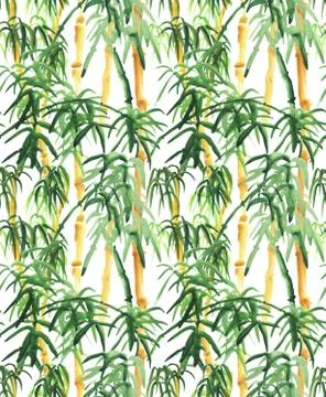 Bamboo hand drawn Stock Illustration