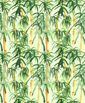 Bamboo hand drawn Stock Illustration