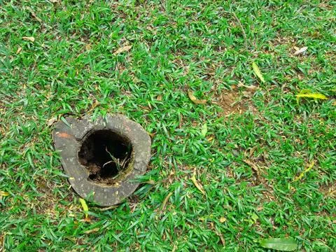 Bamboo hole post in a grass surface floor Stock Photos