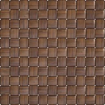 Bamboo Illustrazione stock