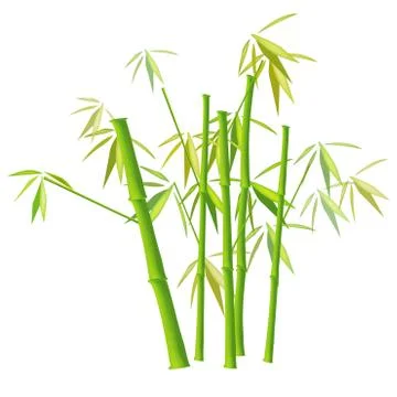 Bamboo Stock-Illustration