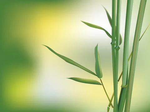 Bamboo Stock Illustration