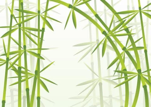 Bamboo Stock Illustration