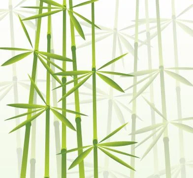 Bamboo Stock Illustration