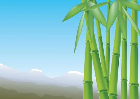 Bamboo Stock Illustration