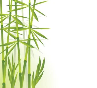 Bamboo Stock Illustration