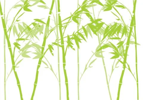 Bamboo Stock Illustration