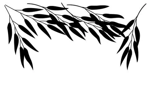 Bamboo Stock Illustration