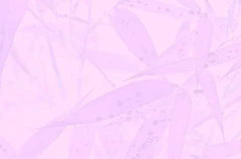 Bamboo Ilustração Stock